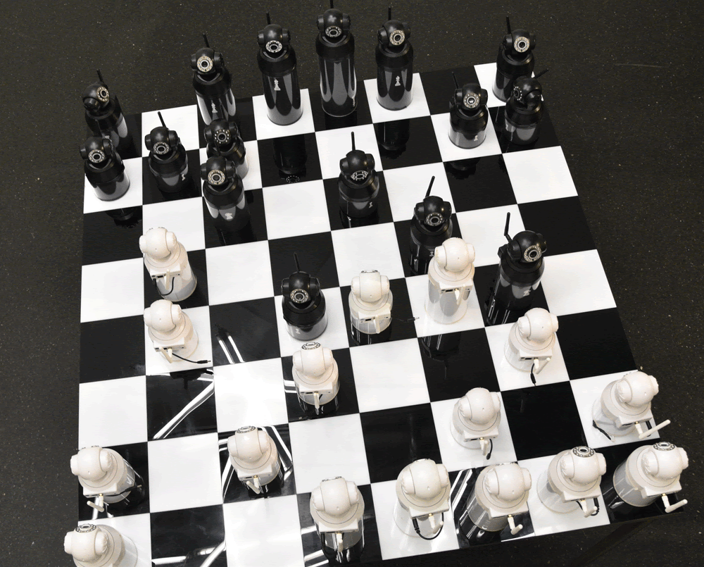 DEMOCRATIC CHESS - Image 2