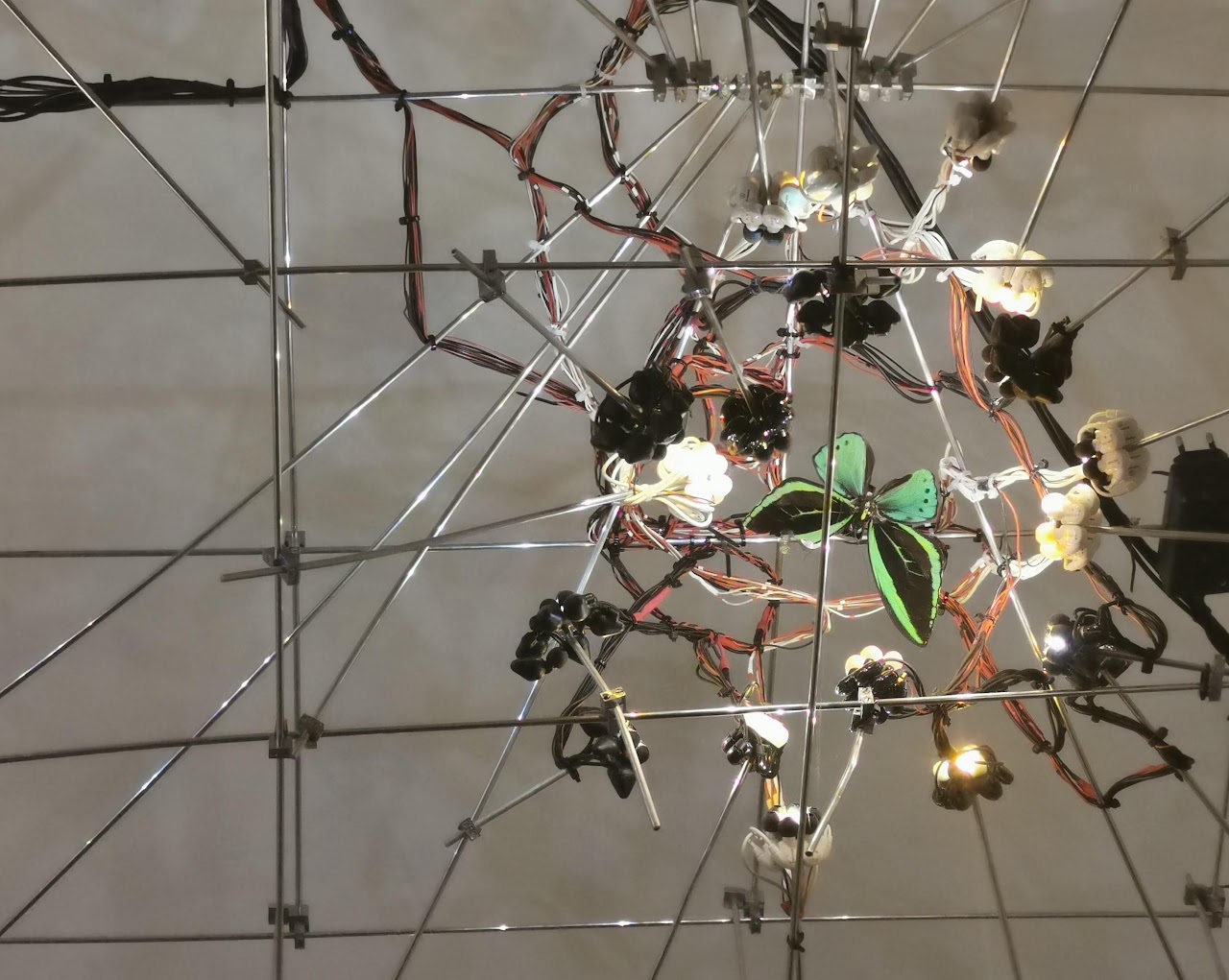 LIGHTS - Image 7