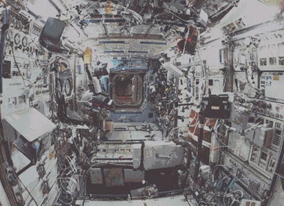 MOSAIC - Image 11