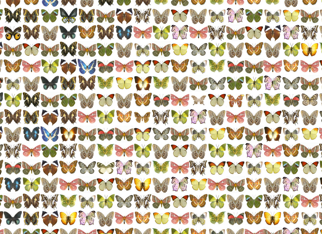 MOSAIC BOOM - Image 3