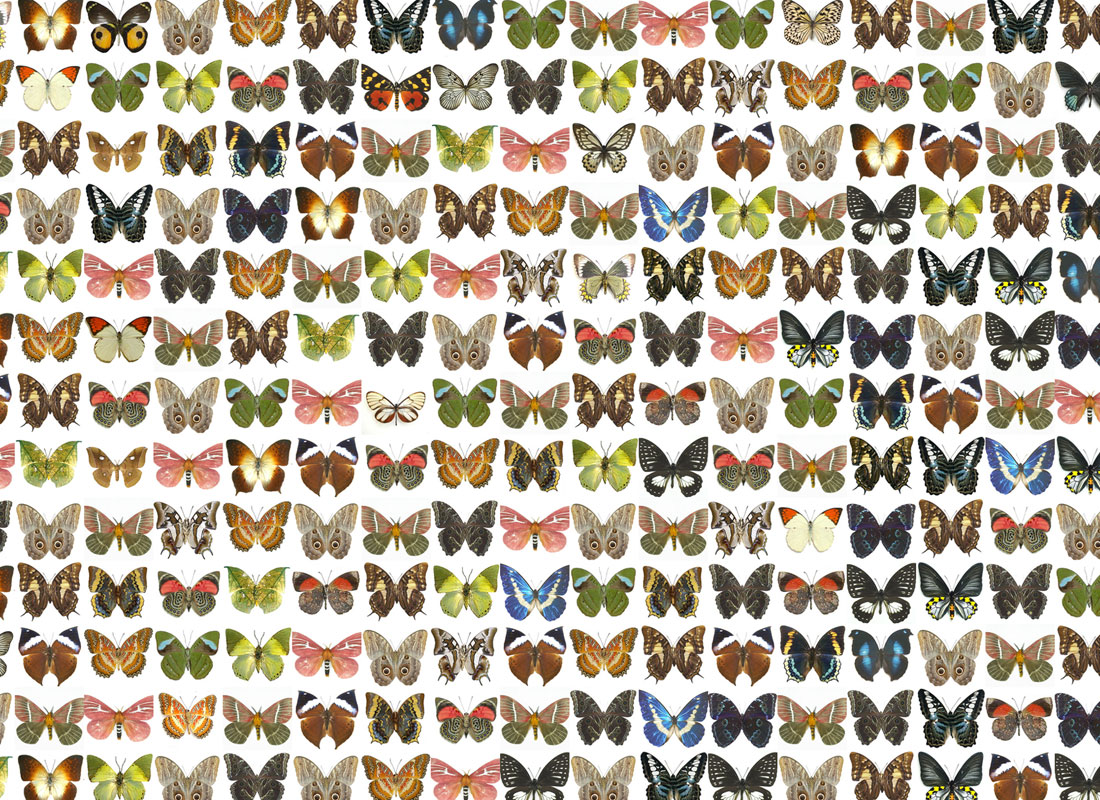 MOSAIC BROKK - Image 3