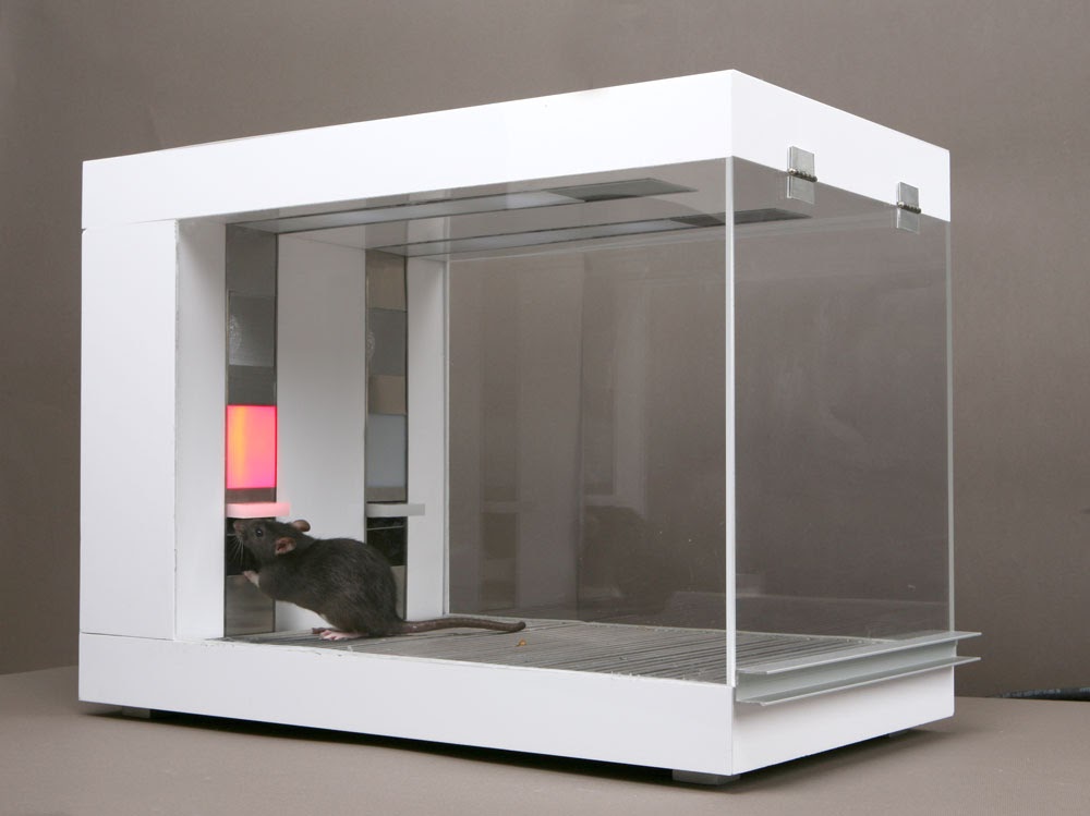 RATTTRADERS - Image 3