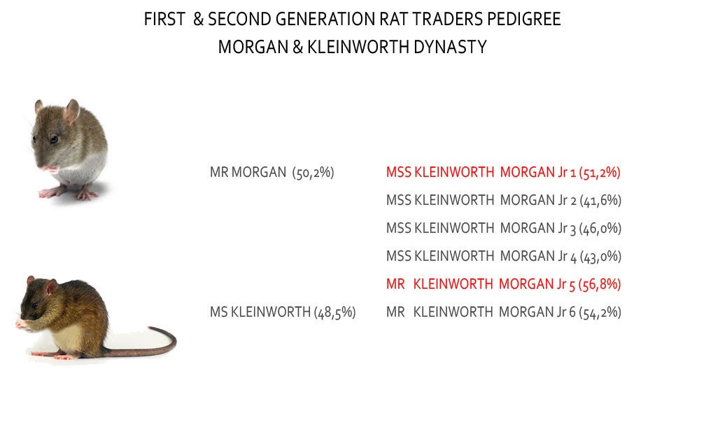 RATTTRADERS - Image 12