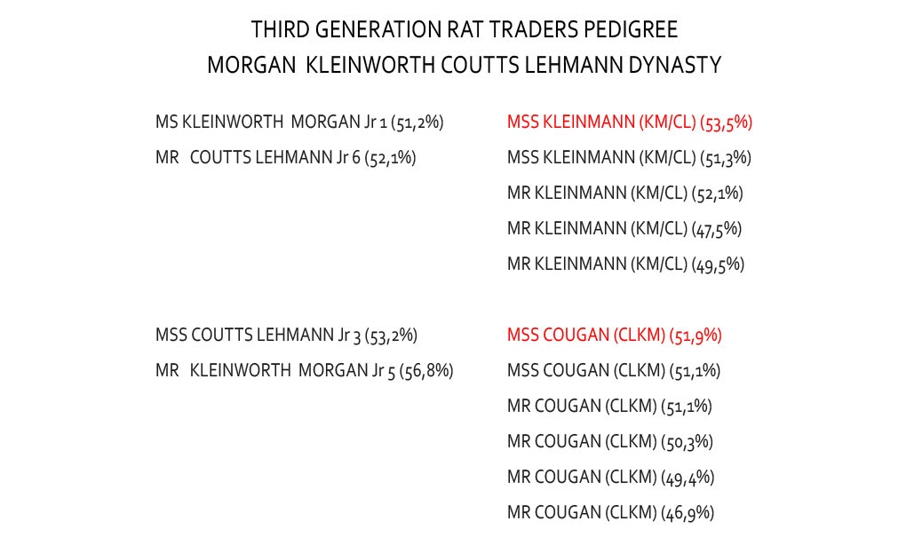 RATTTRADERS - Image 14