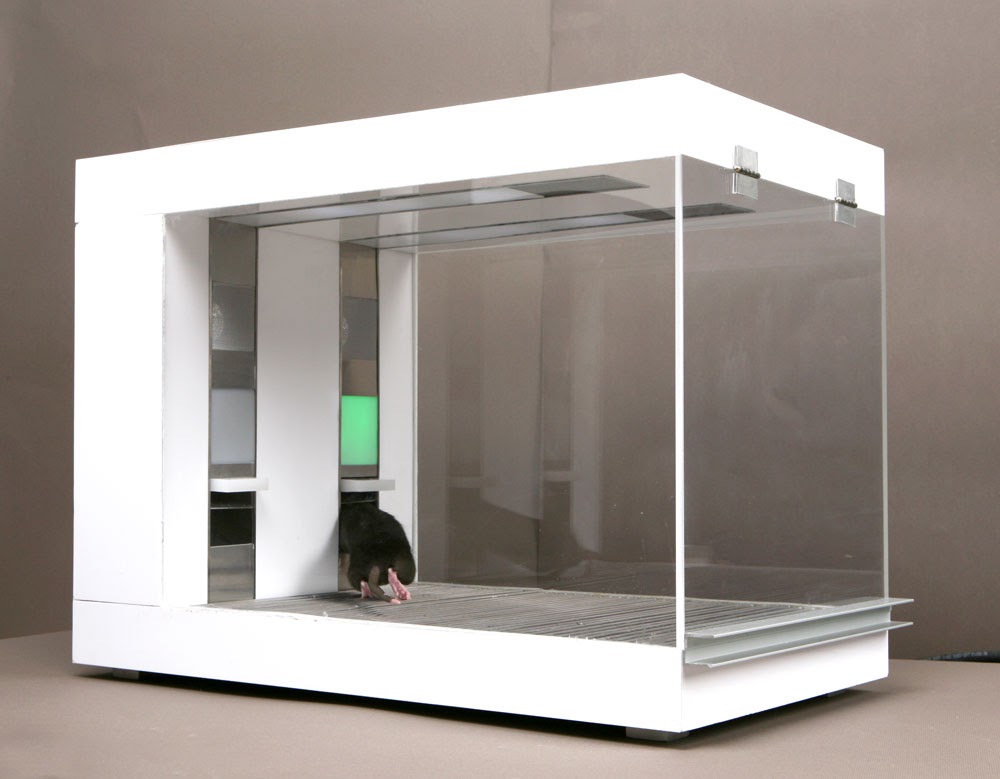 RATTTRADERS - Image 4