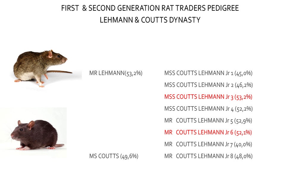 RATTTRADERS - Image 13