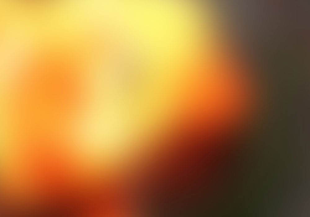 VERS - Image 2